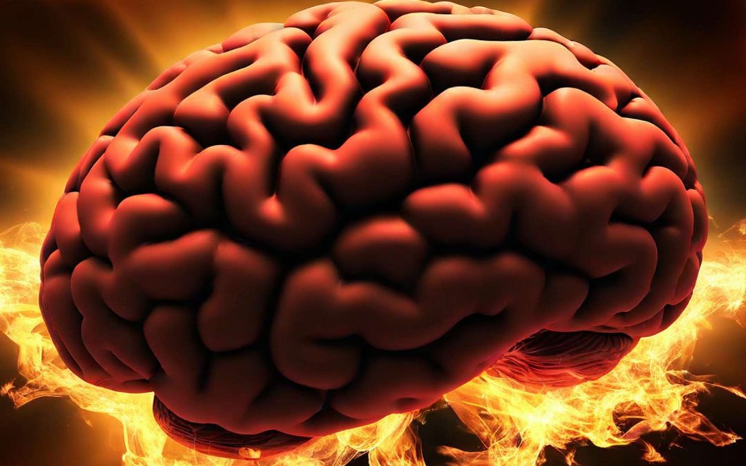 Brain maker – vpliv mikrobioma na možgane