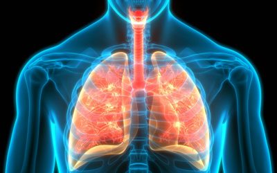 Kaj je Brownov plin? (imenovan tudi OKSI-VODIK, HHO)