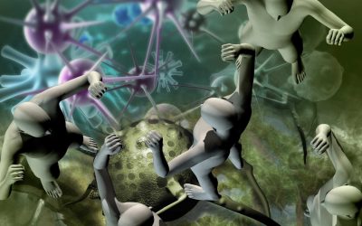 Imunski sistem in beta glukan