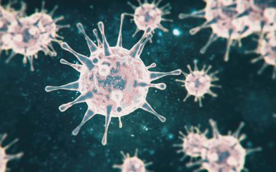 Korona virus