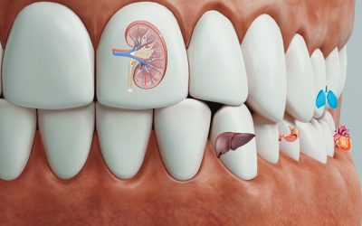Povezave med zobmi, organi, meridijani in vretenci, ki bi jih morali poznati vsi