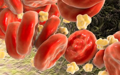 Holesterol je naš prijatelj – 1. del