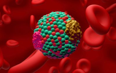 Holesterol je naš prijatelj – 2. del