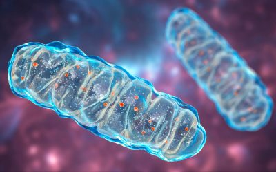 Brezplačen članek: Nova prebojna študija identificira prvo molekularno tarčo molekularnega vodika v človeških celicah
